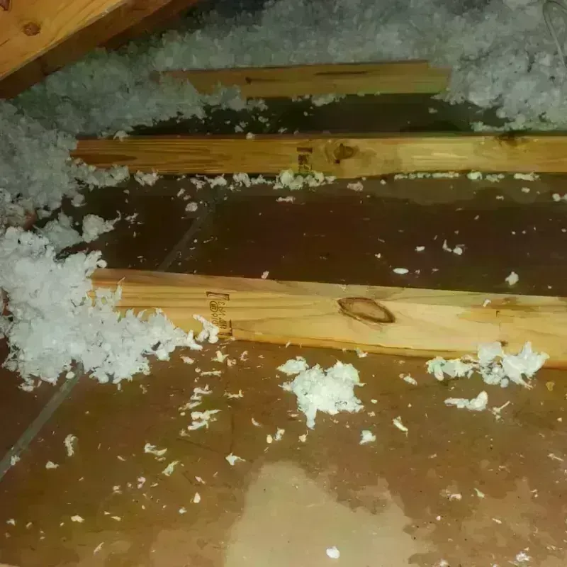 Attic Water Damage in Oakwood, GA