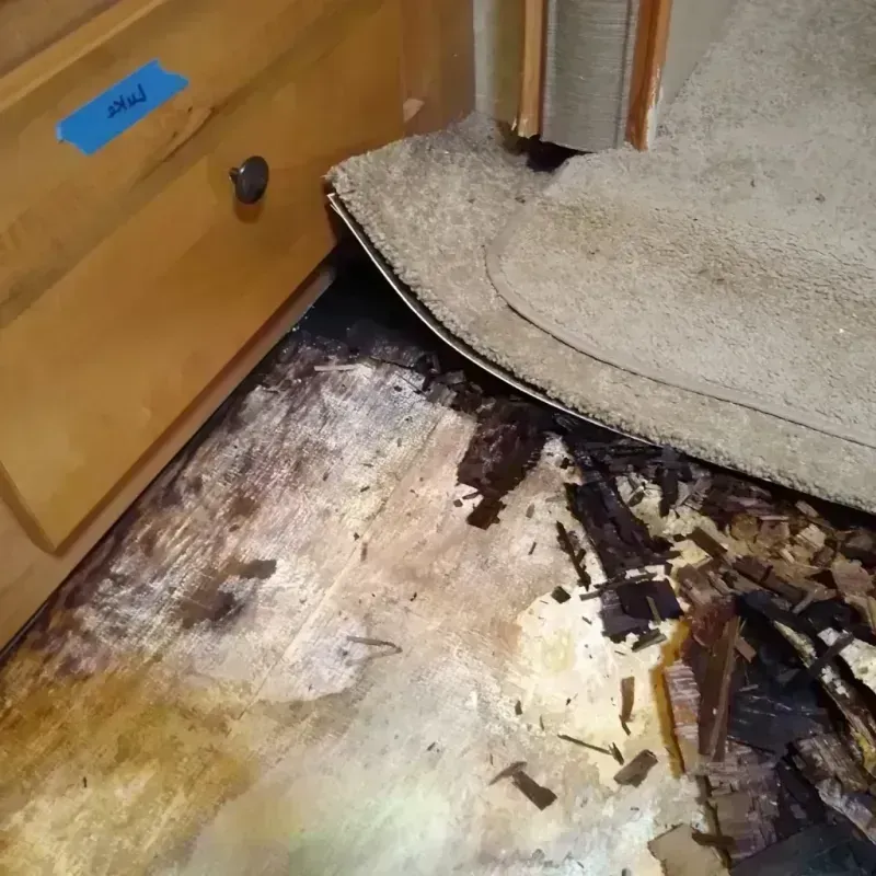 Wood Floor Water Damage in Oakwood, GA